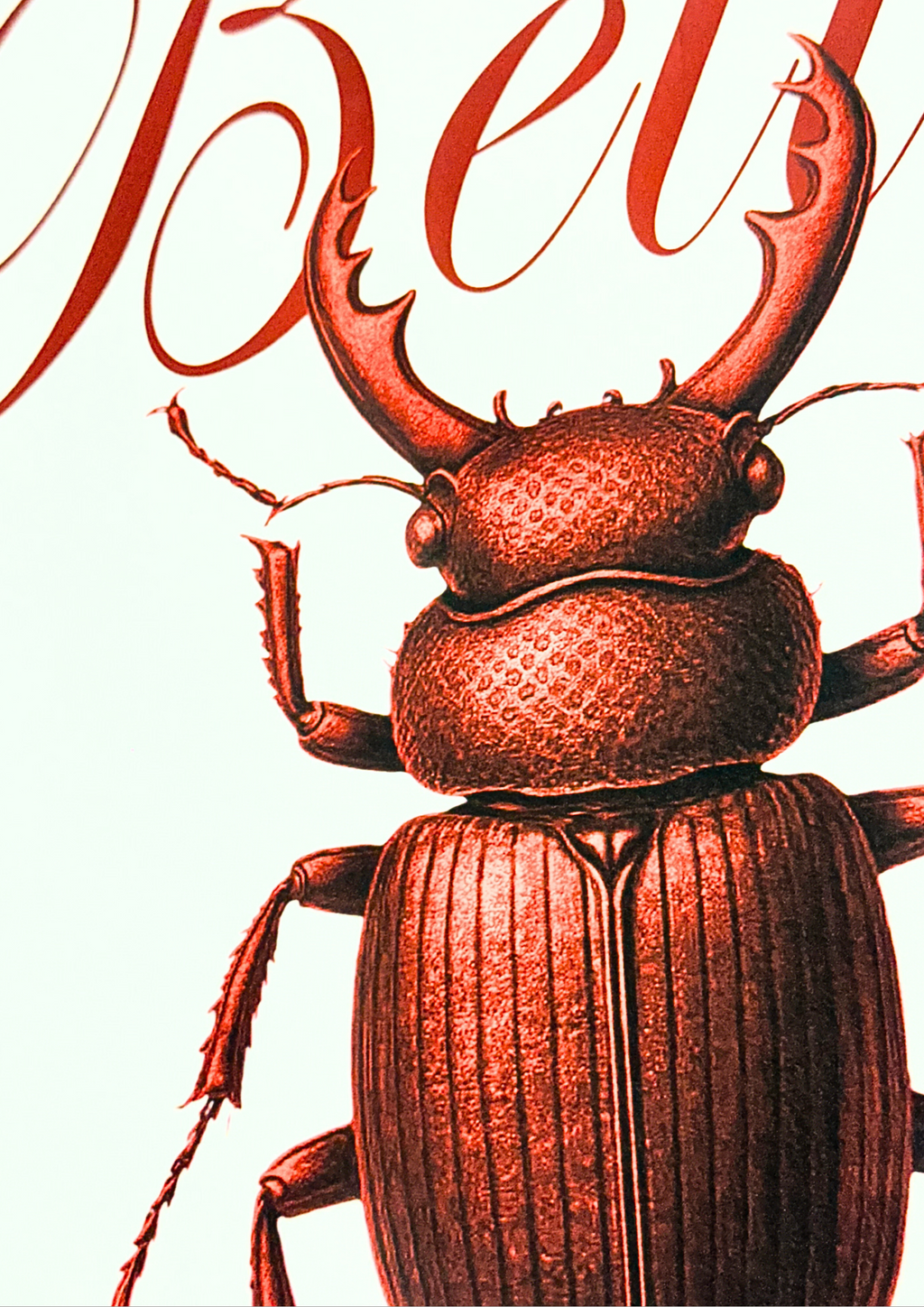 WHITE "Crimson Beetle" Oversized T-Shirt Heavyweight