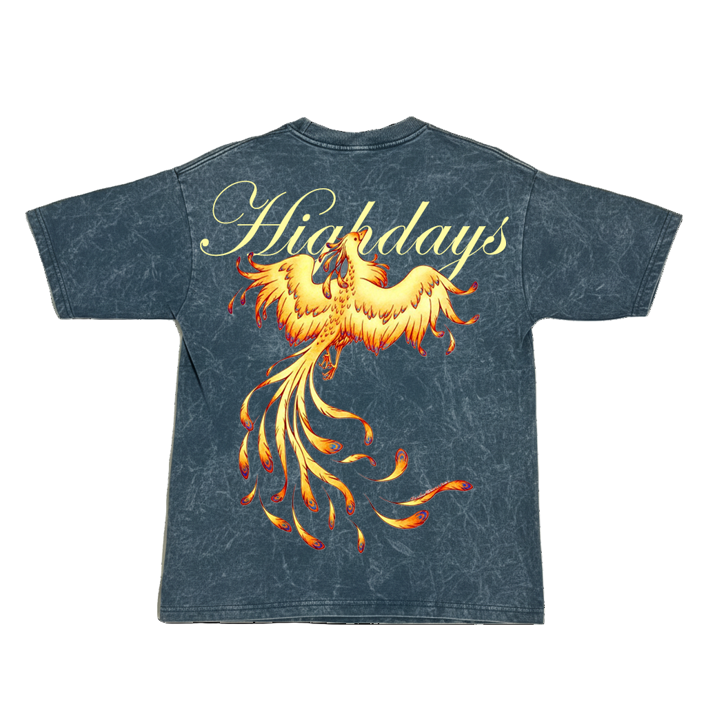 "Rise of Ashes" Acid wash oversized tshirt