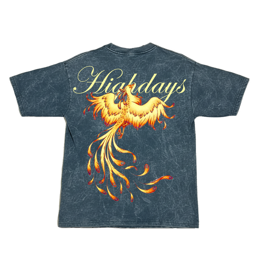 "Rise of Ashes" Acid wash oversized tshirt